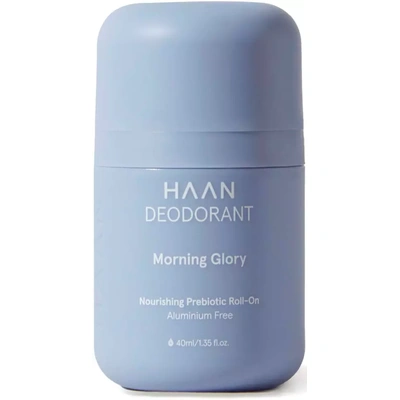 Haan Morning Glory